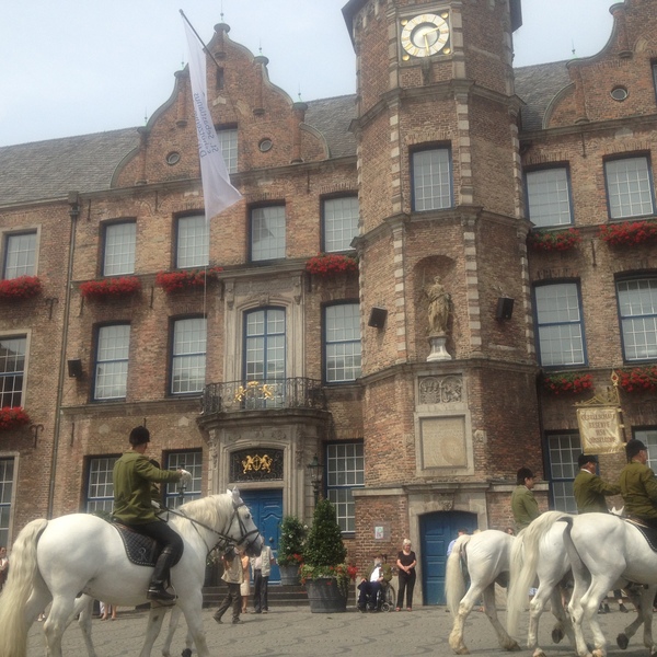 あなた流にアレンジ自由 デュッセルドルフ市内半日観光フリープラン デュッセルドルフ ロコタビ