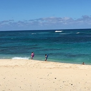 オアフ島 ハワイ 在住の日本人に現地案内 ツアーを依頼できます ロコタビ