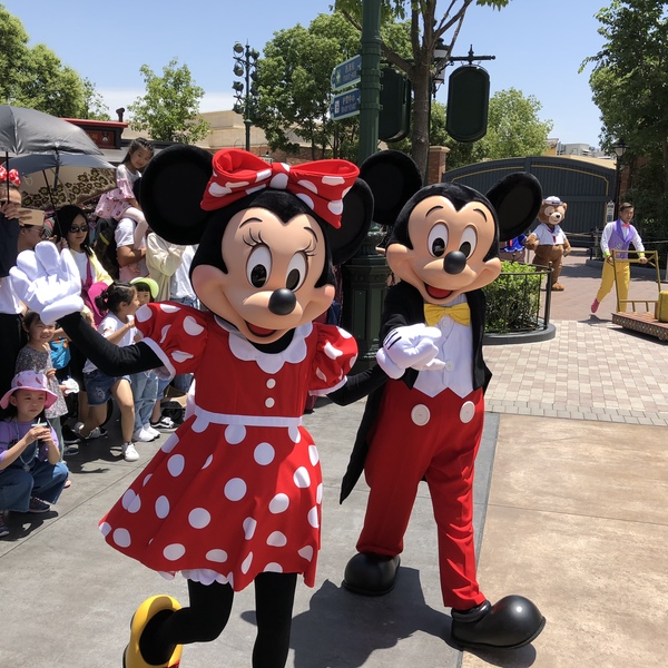 初めての上海 初めての上海ディズニーはおまかせください シャンハイ 上海 ロコタビ