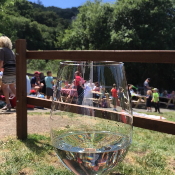 トレッキング&ワインテイスティング3時間 サンノゼ（カリフォルニア） ロコタビ