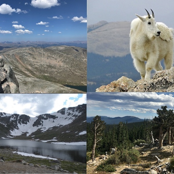 夏季限定 海抜4350メートルのマウントエバンスとその周辺 一日観光 デンバー ロコタビ