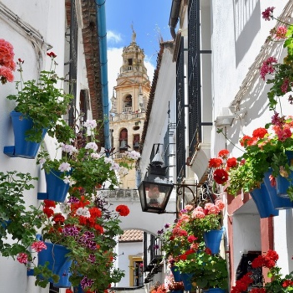 Spain Yayaさんがマラガの旅のお手伝いします ロコタビ