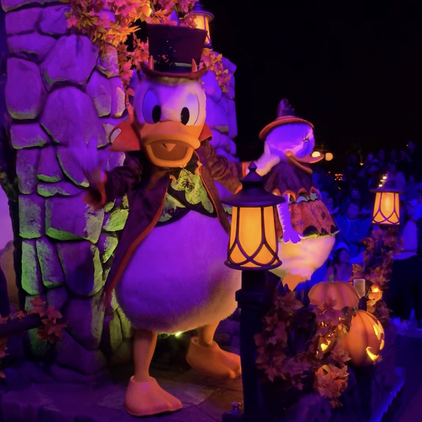 上海ディズニーランド同行アテンドサービス シャンハイ 上海 ロコタビ