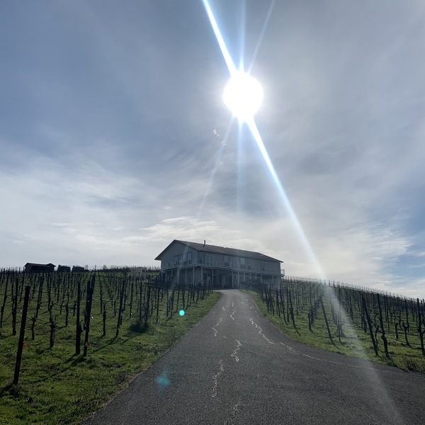 ナパバレーソノマ ワイナリー巡り サンフランシスコ ロコタビ