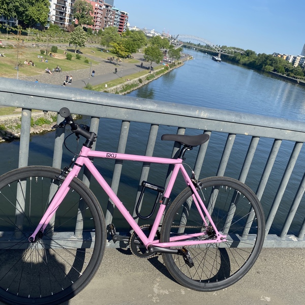 自転車レンタルの手配不要！ドイツの森をサイクリングしませんか 