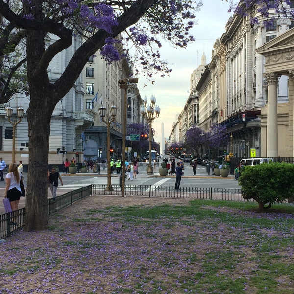 バーチャル旅行 南米のパリ ブエノスアイレスの旅行体験 1時間 ブエノスアイレス ロコタビ
