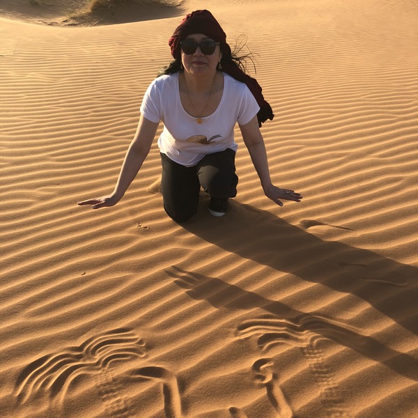 オンライン旅行 サハラ砂漠を見に行こう ラバト ロコタビ