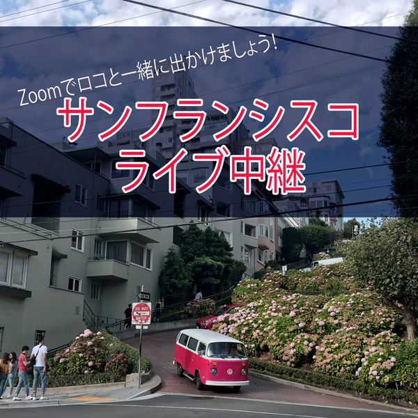 オンライン ライブ生中継 サンフランシスコ 観光地に直接出向いて双方向でお話ししながらの生中継ツアーです サンフランシスコ ロコタビ