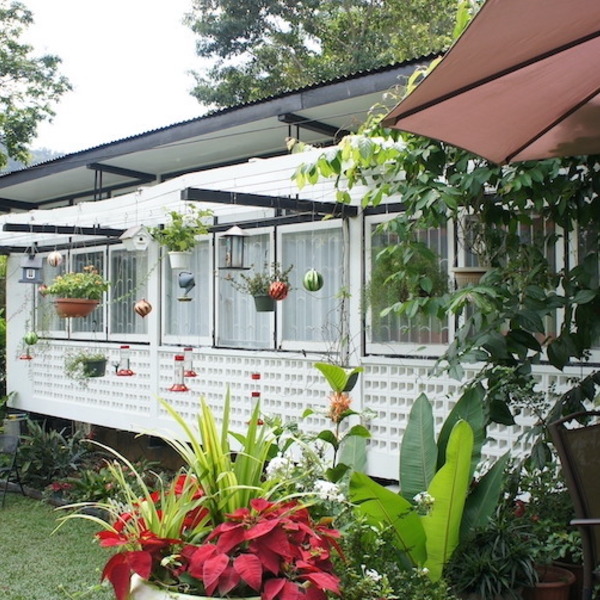 オンライン旅行 望遠レンズで生中継 15種類が生息するハチドリ園yerette ポートオブスペイン ロコタビ