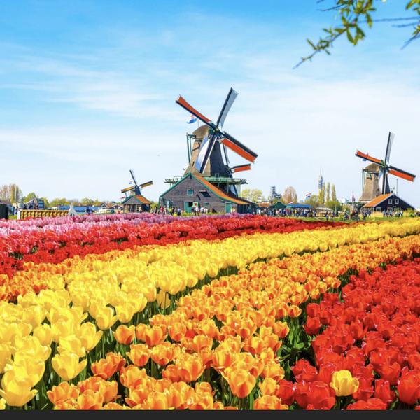 オランダ移住相談 Traveloco トラベロコ 中国ブログ 上海ブログ 北京ブログ 広州ブログ 大連ブログ 香港ブログ 台湾ブログ 中国語 ブログ 国際結婚ブログ 中華圏芸能ブログ 中国留学ブログ 中国茶ブログ 蘇州ブログ 深センブログ 東莞ブログ 駐在妻ブログ 日本語教師