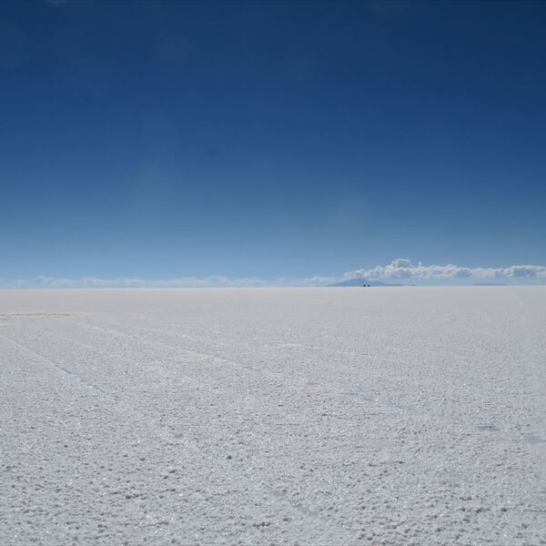 ウユニ塩湖＆宝石の道 バーチャル・2時間ツアー】第3部 インカワシ島