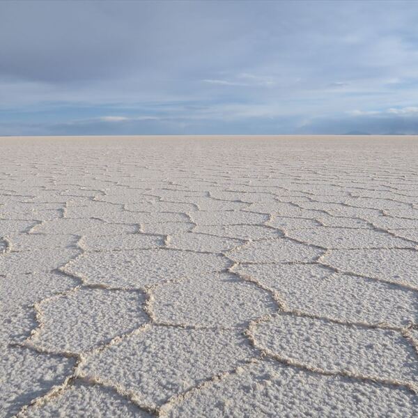 ウユニ塩湖＆宝石の道 バーチャル・2時間ツアー】第3部 インカワシ島