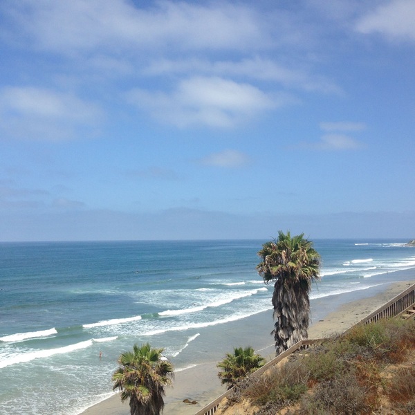 南カリフォルニアサーフィン🏄🌴ツアー | ロサンゼルス | ロコタビ