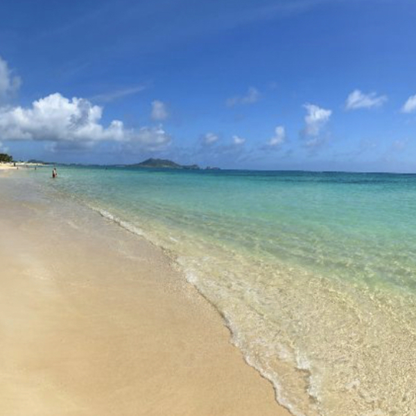 オアフ島観光 (半日、1日) | オアフ島（ハワイ） | ロコタビ