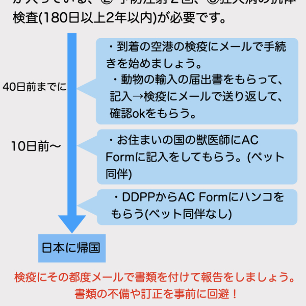 ペット購入 手続き オファー