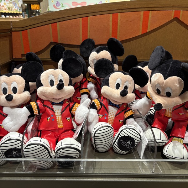 各種購入代行・ディズニー期間限定グッズお取り置き