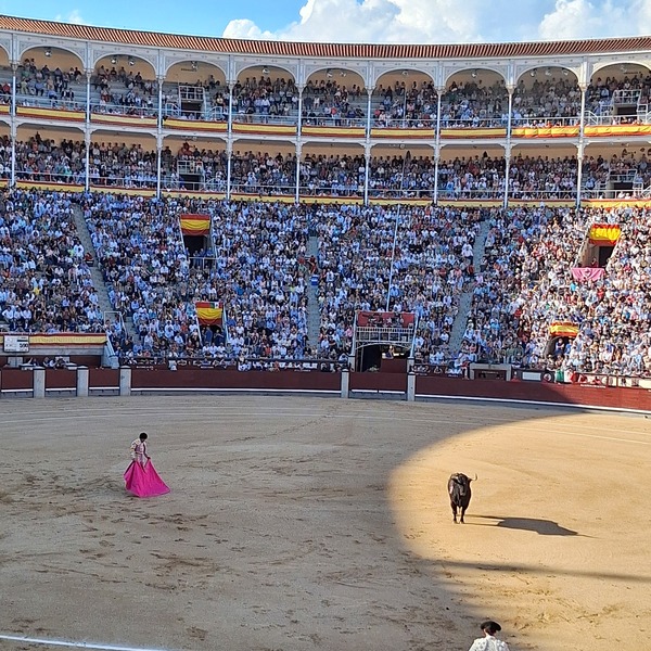 スペインに来たら一度は闘牛観戦してみたい | マドリード | ロコタビ