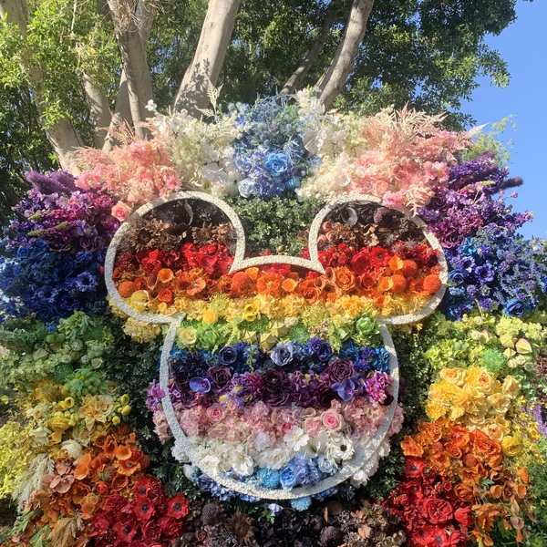 ディズニーランド/アナハイムエンゼルススタジアム送迎サービス