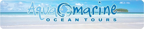 セブ島の旅行会社 アクアマリン・オーシャンツアーズ | Aquamarine Ocean tours Cebu | ロコタビ