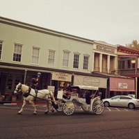 オークレー在住日本人のおすすめ 人気観光スポット1選 ロコタビ