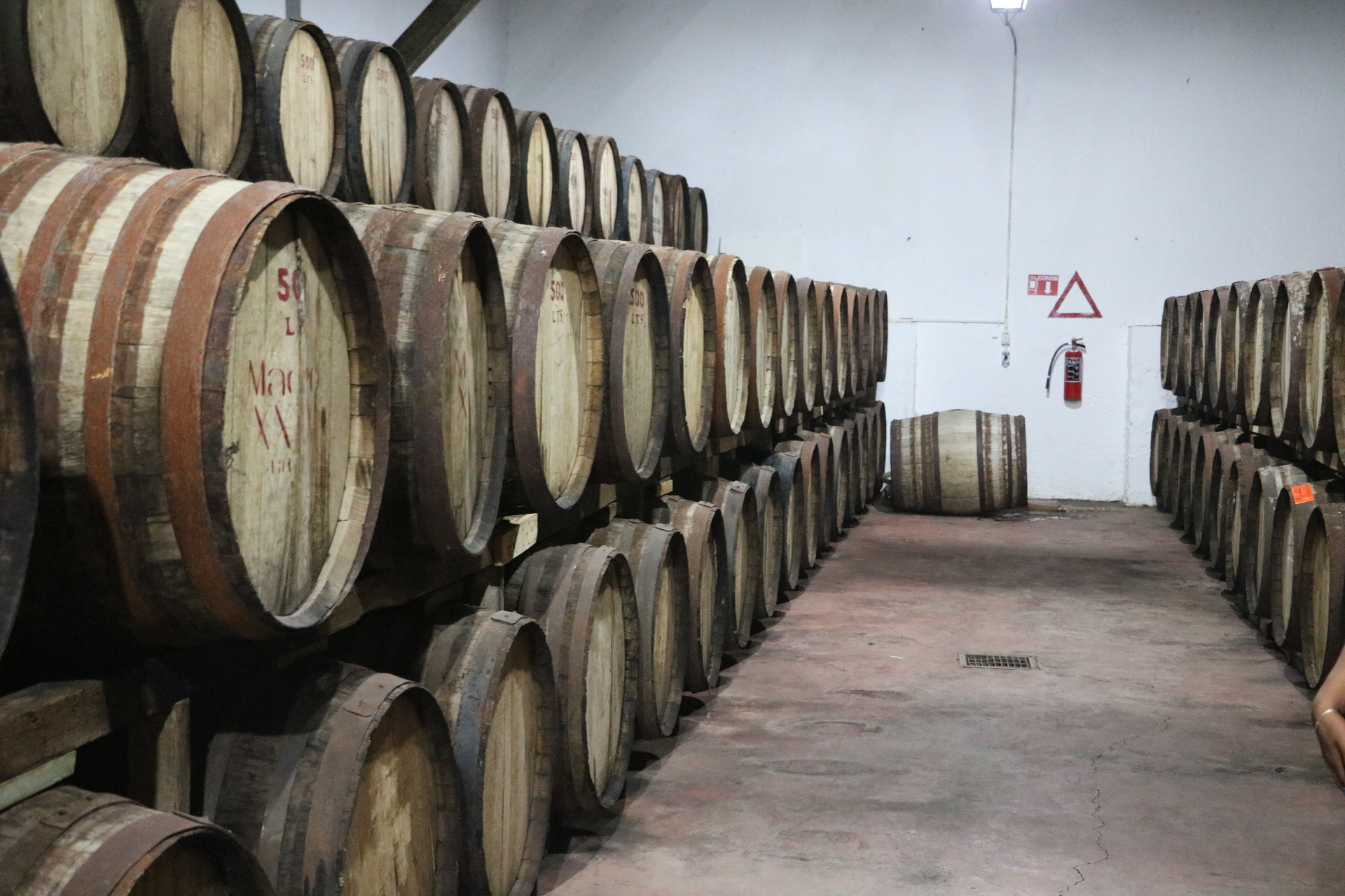 南国米大陸最古のワイナリーの街、Parrasで赤ワインを堪能