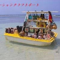 ジャマイカ在住日本人のおすすめ 人気観光スポット4選 ロコタビ