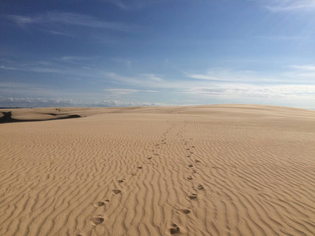  ボリビアの砂丘