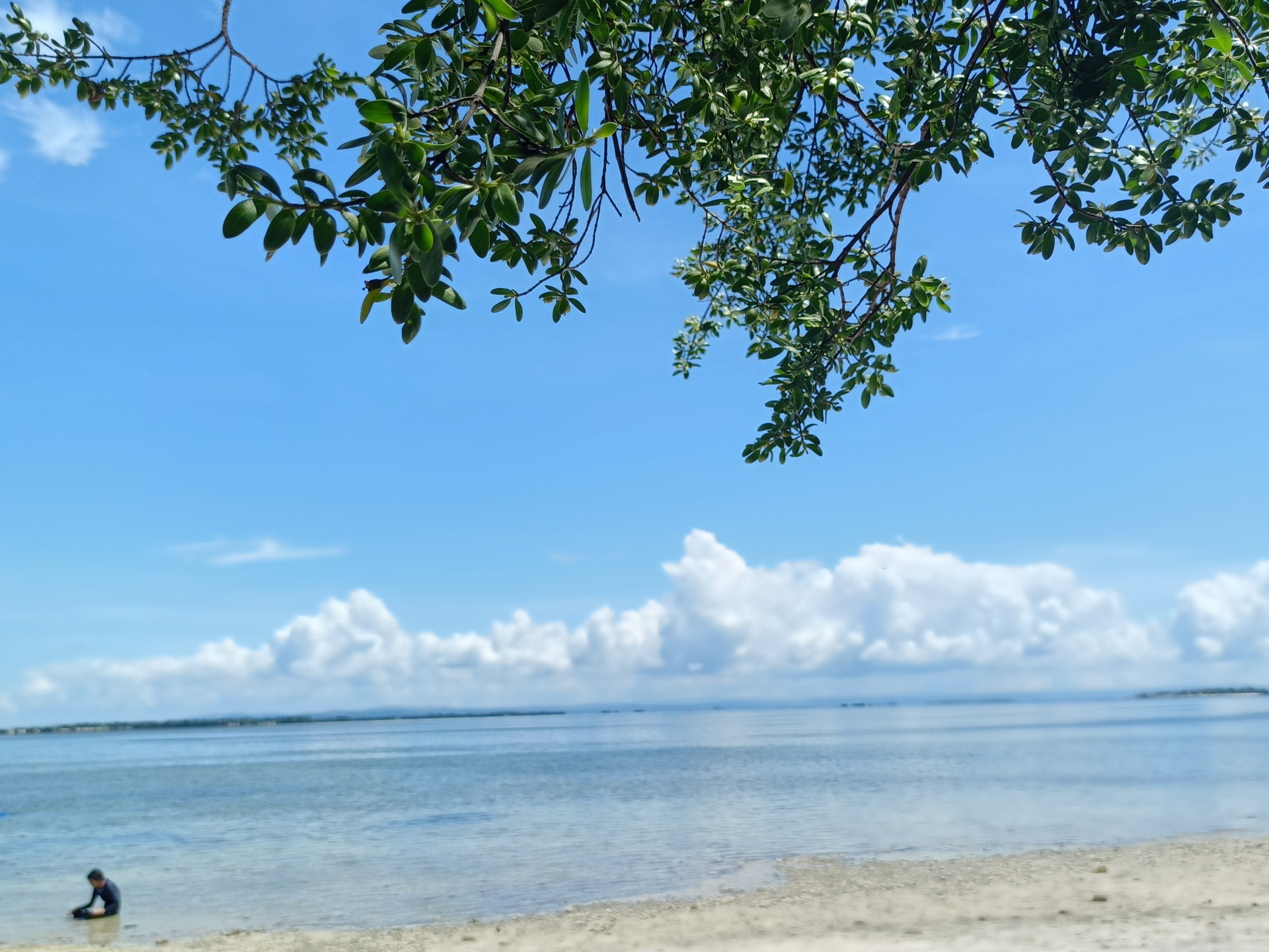 アイランドホッピング(海と島を楽しむ船旅体験)