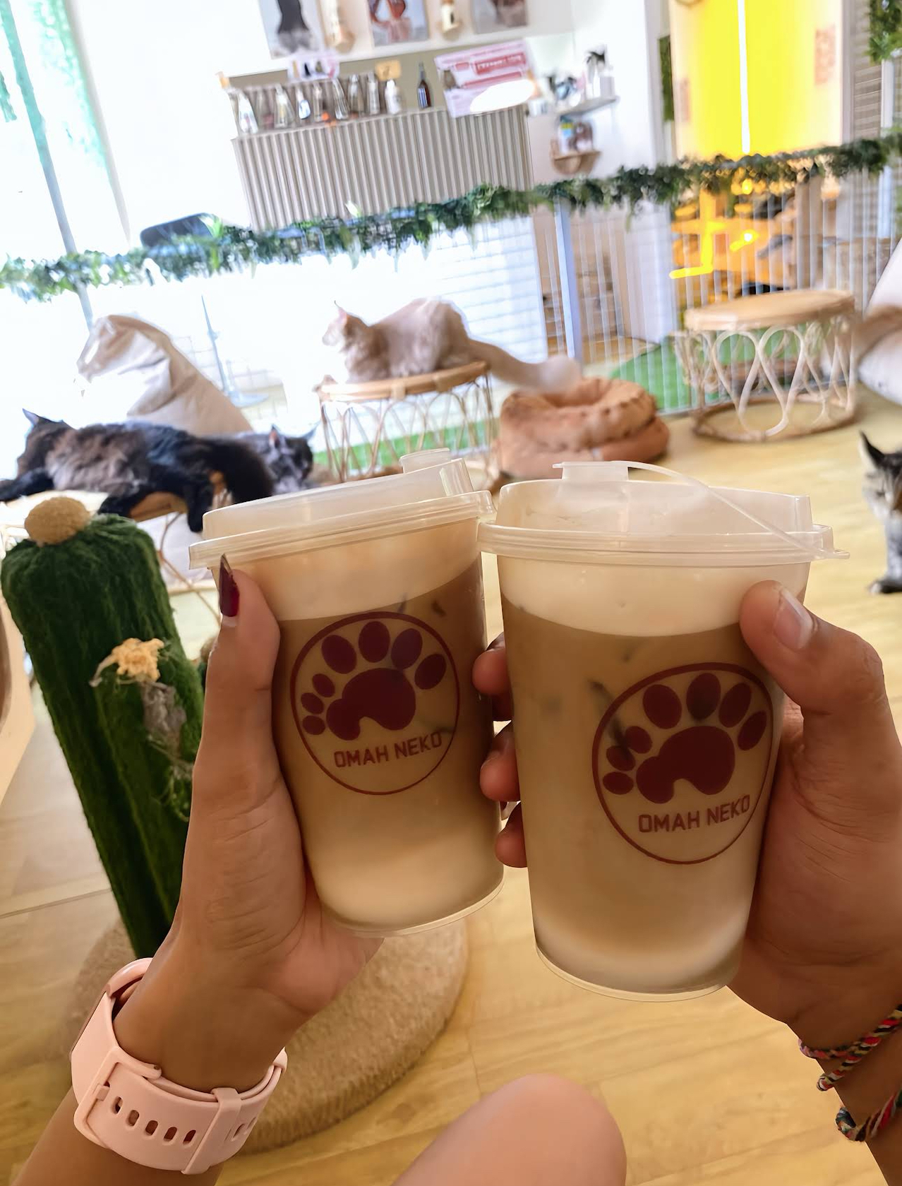 オマネコ 猫カフェ