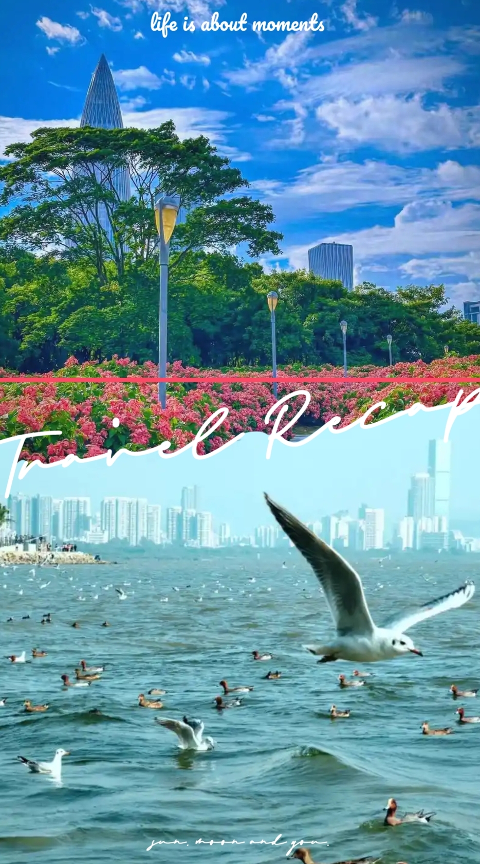 深圳湾公園(しんせんわんこうえん)
