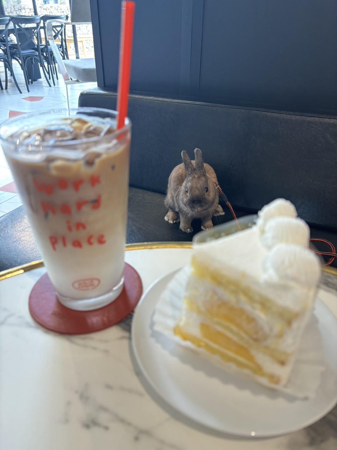 フィップコーヒー