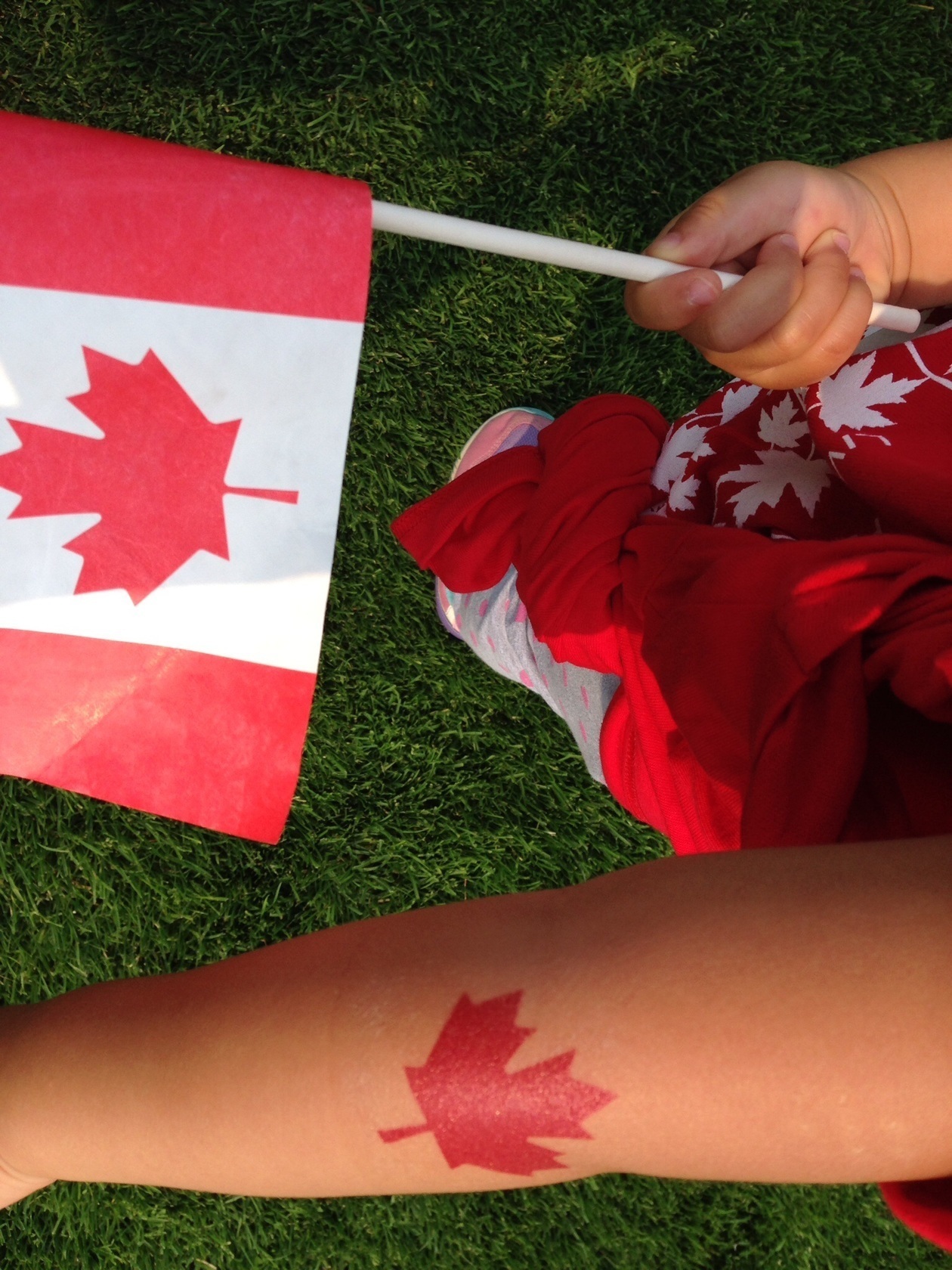 カナダの国旗が描かれた物