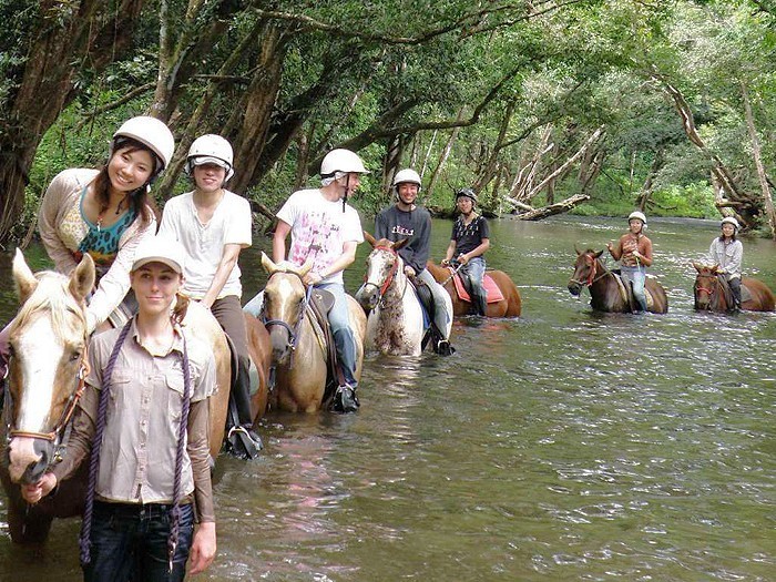 熱帯雨林と川で乗馬体験！