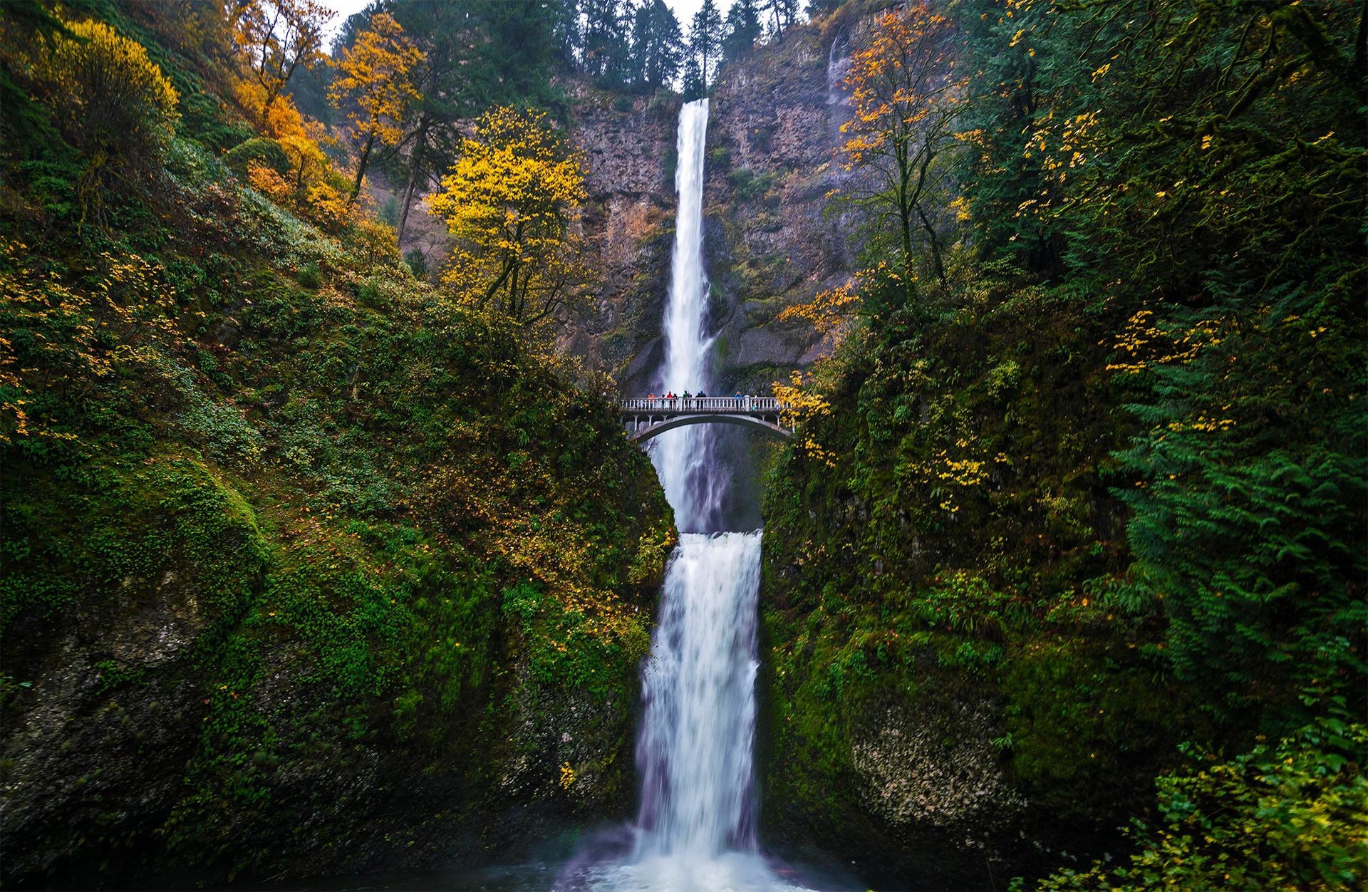オレゴン州在住日本人のおすすめ 人気観光スポット14選 ロコタビ