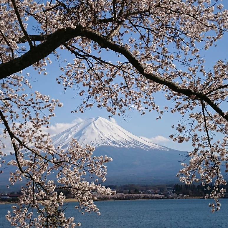 Samechanさんがハイデルベルクの旅のお手伝いします | ロコタビ