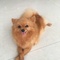 バリ島在住のロコ、クレオンママさん