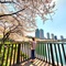 ソウル在住のロコ、reikoriaさん