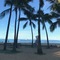 オアフ島（ハワイ）在住のロコ、AlohaHiroさん