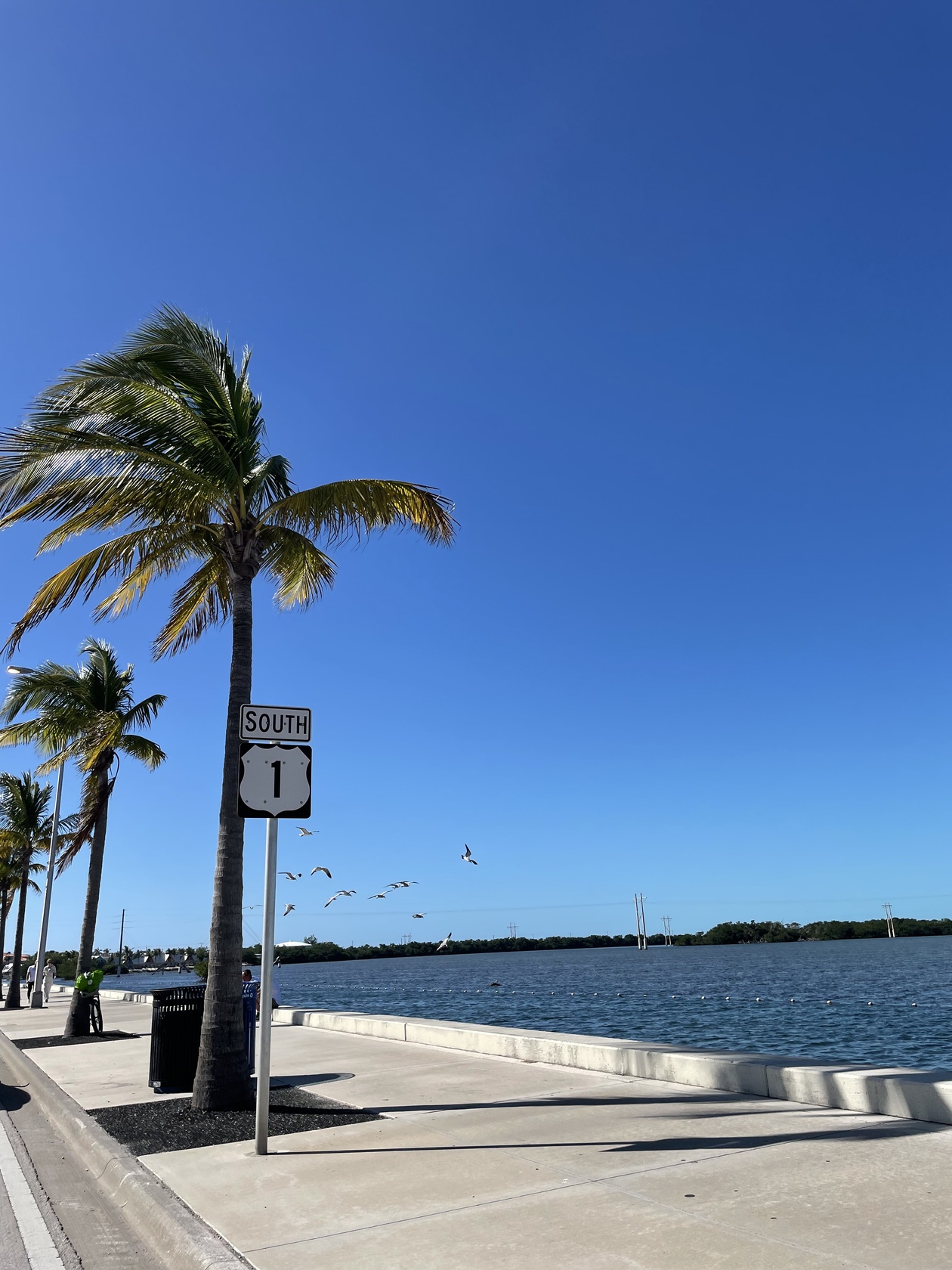 Ayaさんがジョンズクリークの旅のお手伝いします ロコタビ