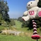 バンクーバー在住のロコ、まきさん