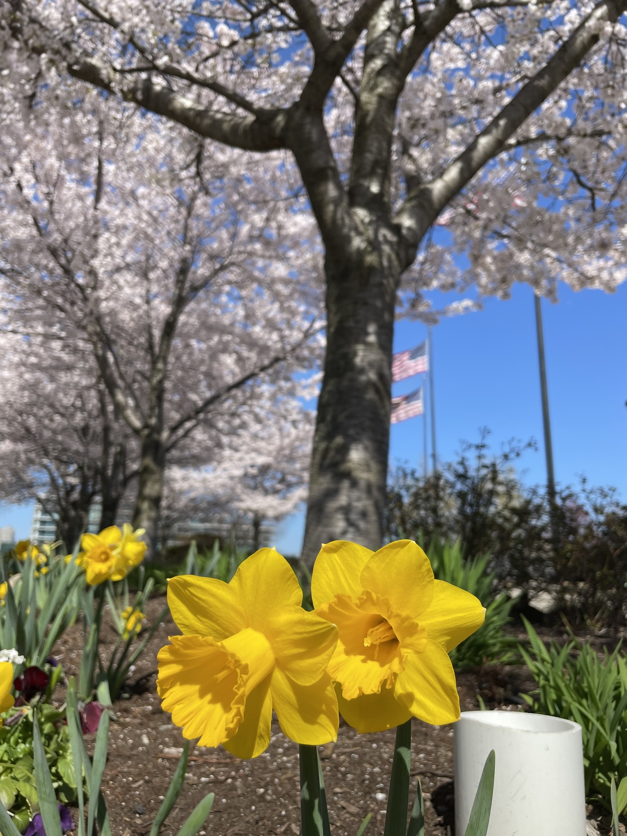 Yukoさんがホーボーケン（ニュージャージー）の旅のお手伝いします ロコタビ