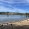 ハールレム在住のロコ、Wataridori さん
