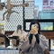 ソウル在住のロコ、まいたんさん