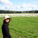 ベリンハム（ワシントン）在住日本人が旅の案内ガイドや通訳、予約代行します ロコタビ