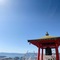 シンガポール在住のロコ、やまとさん