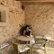ロンドン在住のロコ、アオイさん