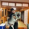 パリ在住のロコ、ショウさん