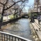 京都市在住のロコ、rohiさん