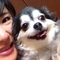 フィレンツェ在住のロコ、アズサさん